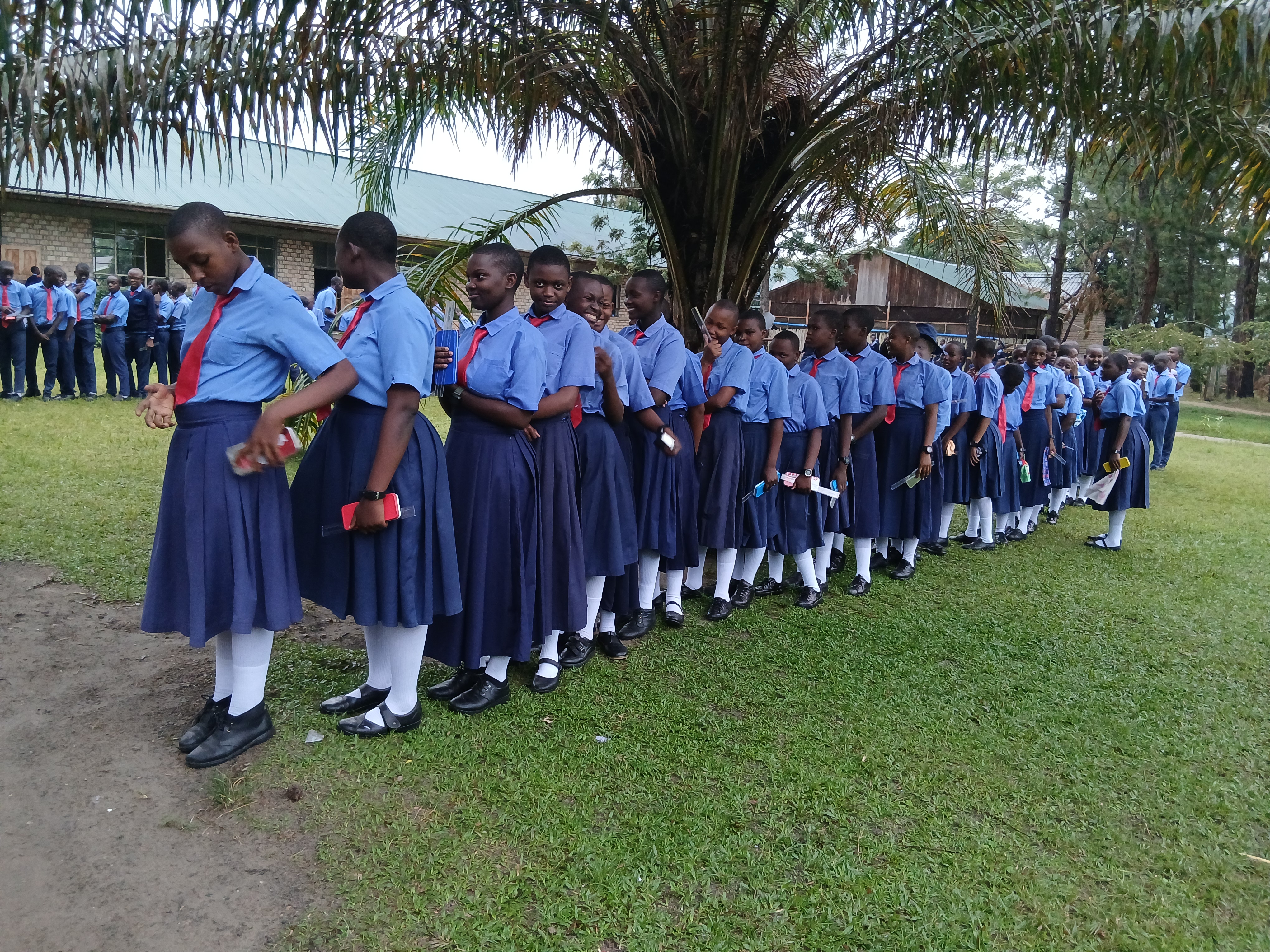 Primary learners